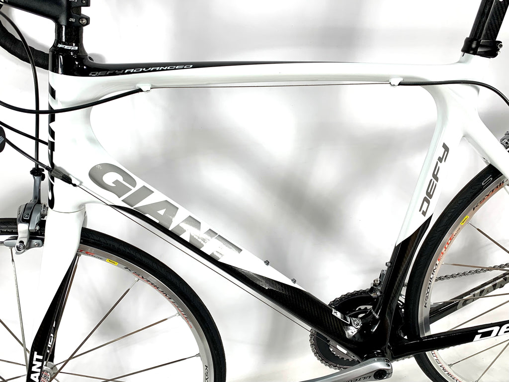 giant defy 2010