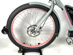 2024 Electra Townie Go! 5i Step-Thru Shimano 5 Speed 250w Bosch Motor